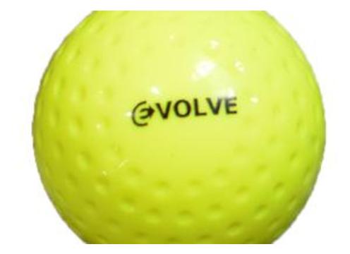 product image for Evolve Turf Ball
