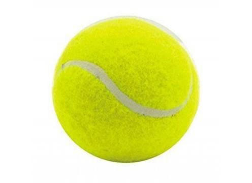 product image for Heavy Tennis Ball