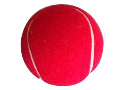 product image for Ranson Heavy Tennis Ball