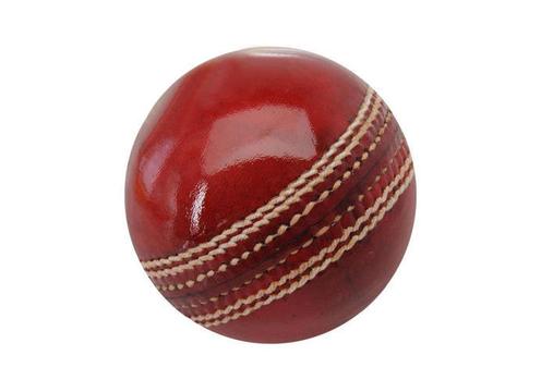 product image for Evolve Leather Ball